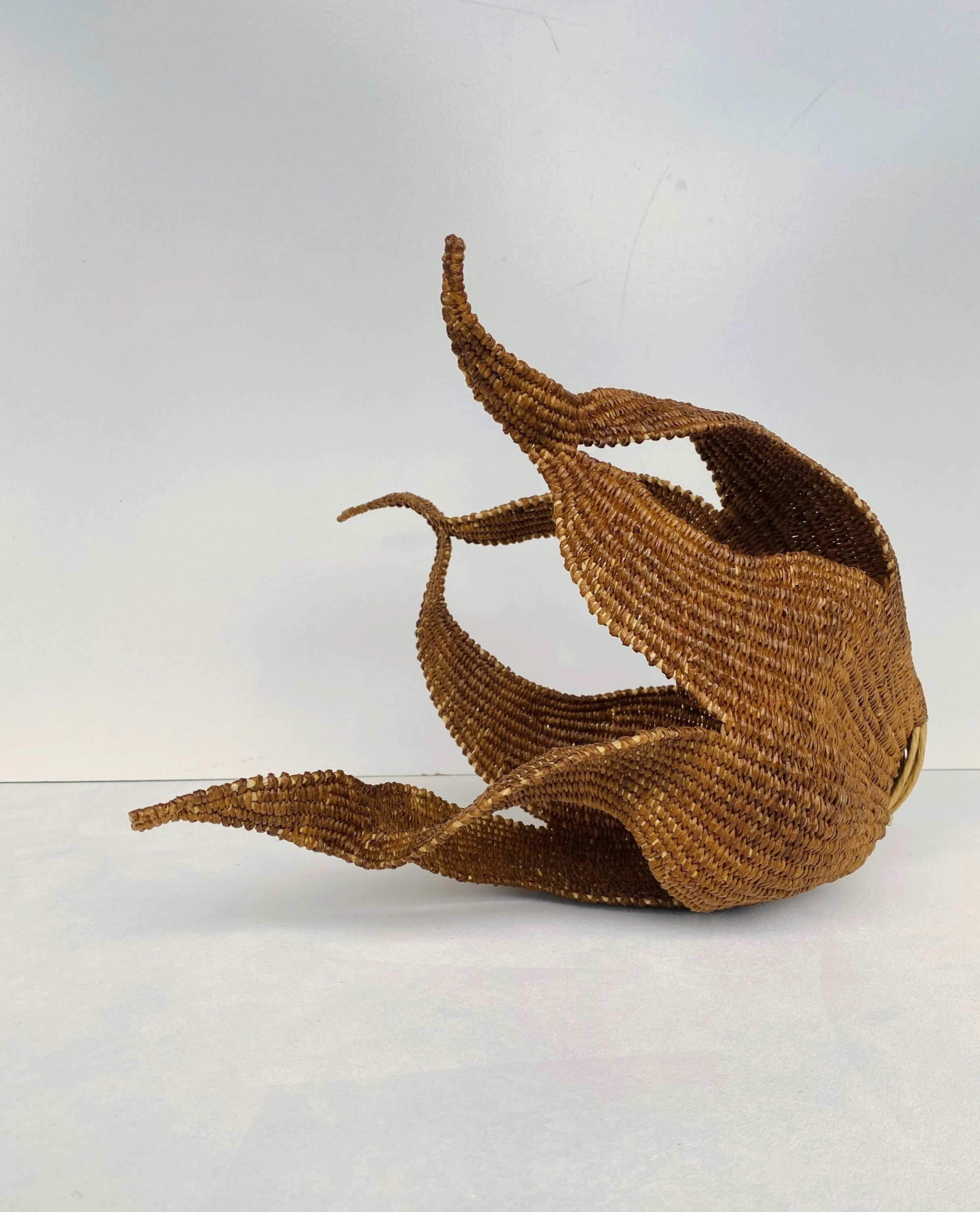 Unfold | Elishia Jackson