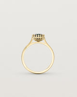 Standing view of the Meroë Round Solitaire | Australian Sapphire in yellow gold.