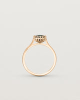 Standing view of the Meroë Round Solitaire | Australian Sapphire in rose gold.