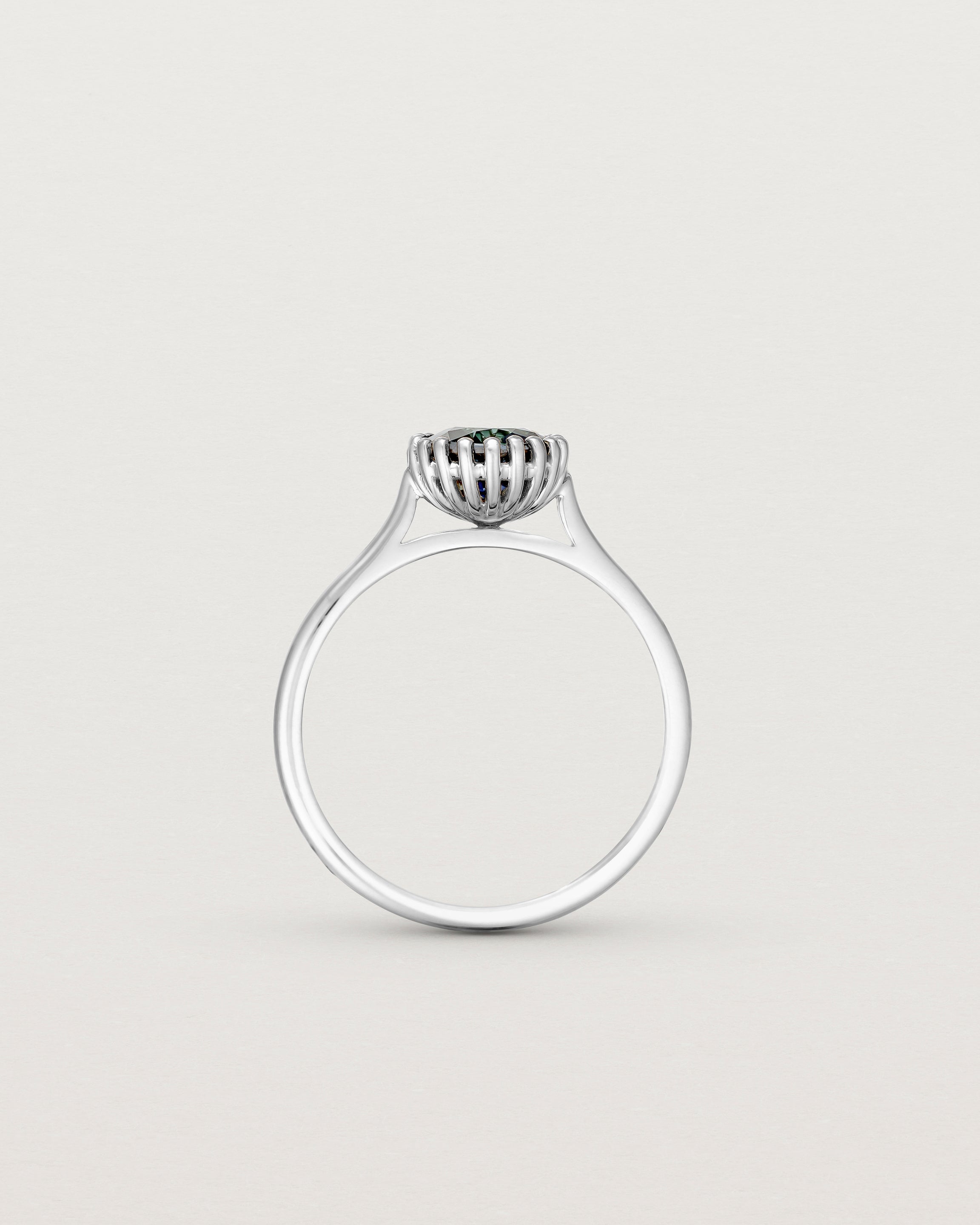 Standing view of the Meroë Round Solitaire | Australian Sapphire in white gold.
