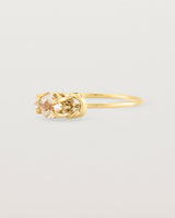 Angled view of the Nuna Ring | Savannah Sunstone in Yellow Gold.