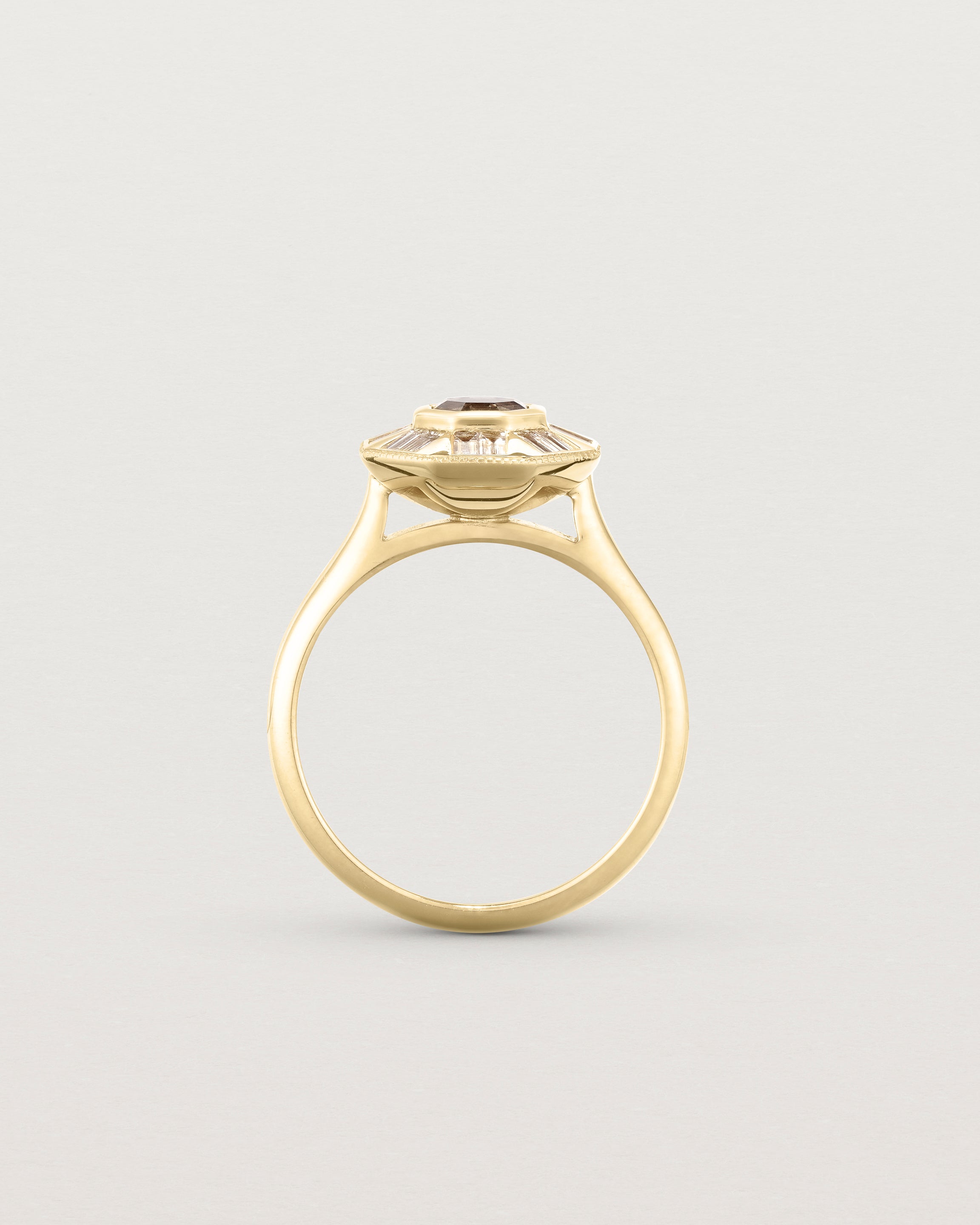 Eileen Halo Ring | Argyle Diamond