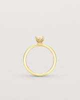 Standing image of diamond marquise ring in yellow gold