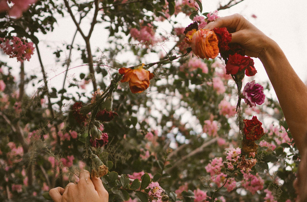 Act of Love | Immune Boosting Tips for You and Your Family