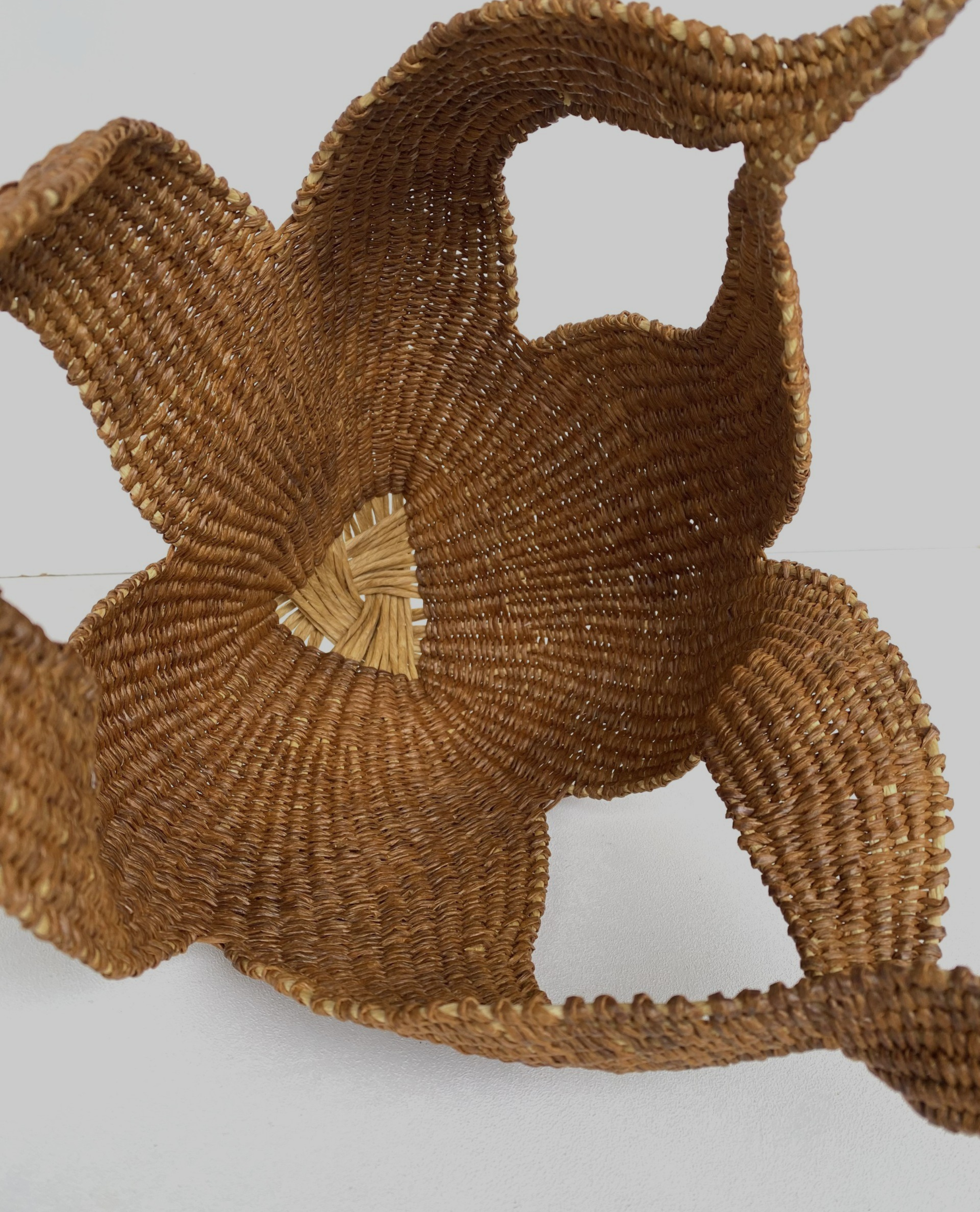 Unfold | Elishia Jackson