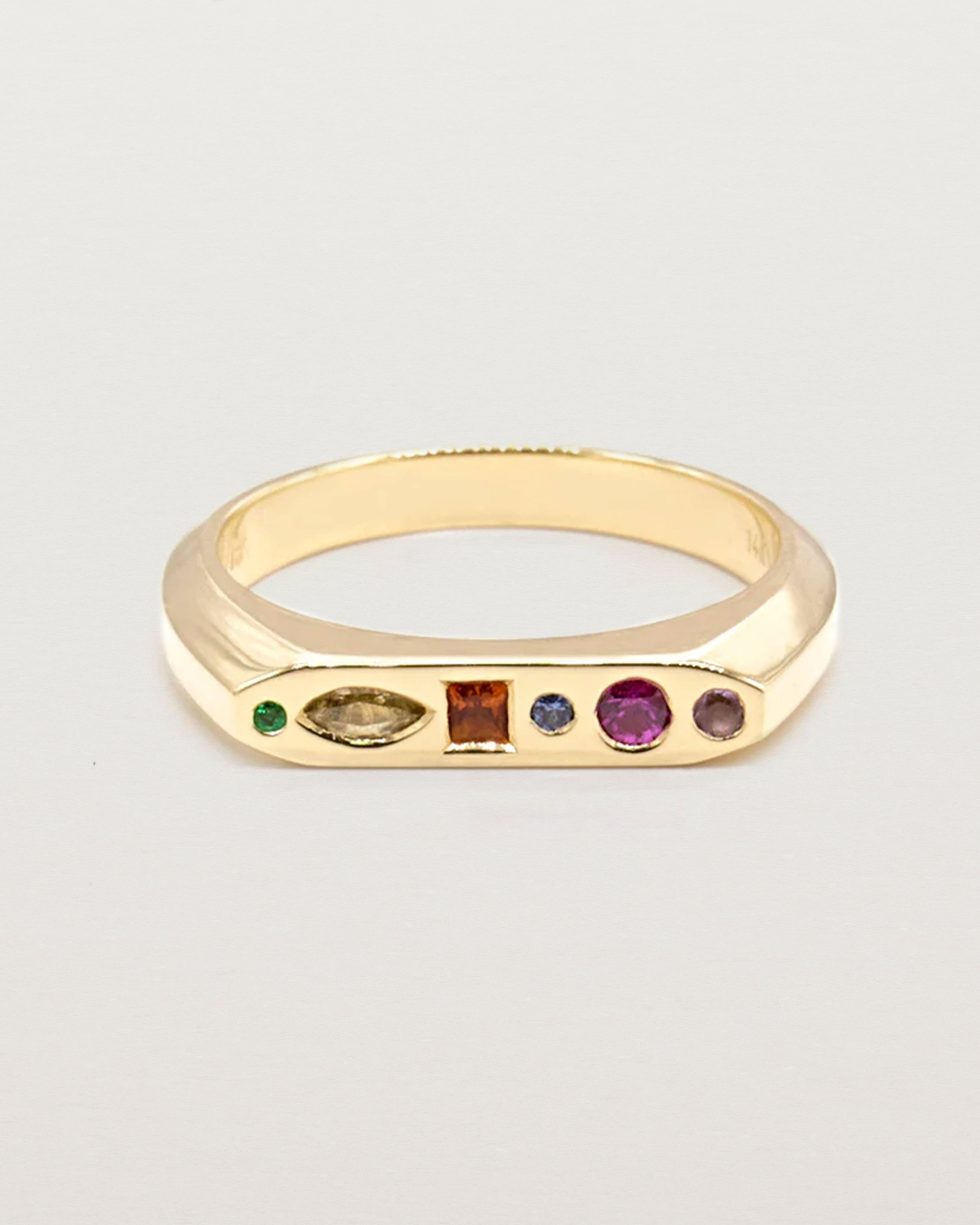 Aine Signet Ring | Coloured Stones