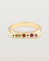 Aine Signet Ring | Coloured Stones