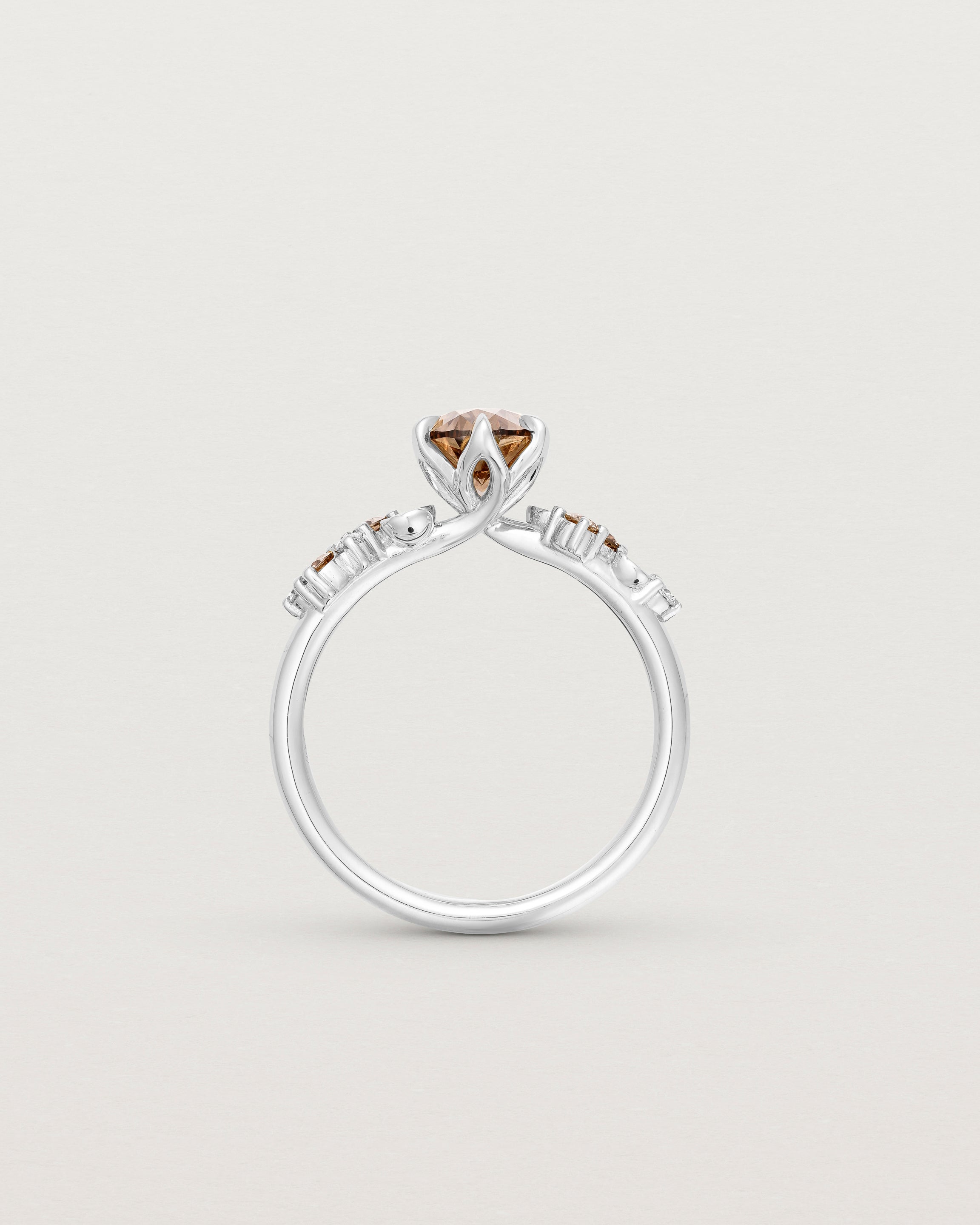 Seren Solitaire | Australian Champagne Diamond