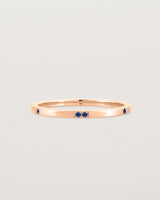 stone _label: Stone Example with Sapphires