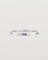 stone _label: Stone Example with Sapphires