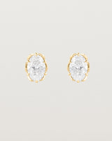 Eirene Studs | Oval Laboratory Grown Diamond