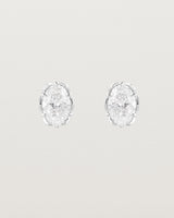 Eirene Studs | Oval Laboratory Grown Diamond
