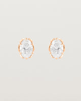 Eirene Studs | Oval Laboratory Grown Diamond