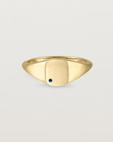 stone _label: Accent Stone Example