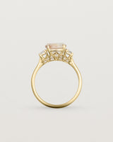 Standing view of the Laurel Round Trio Ring | Savannah Sunstone | Yellow Gold.