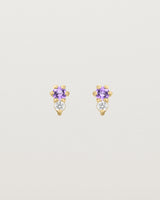 Front facing deep etched image of a pair of yellow gold earrings with amethyst birthstones and diamonds.