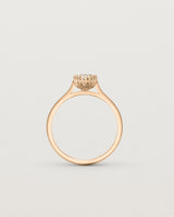 Standing view of the Meroë Oval Solitaire | Laboratory Grown Diamond in rose gold.