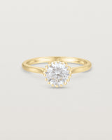 Front view of the Meroë Round Solitaire | Laboratory Grown Diamond in yellow gold