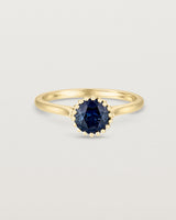 Front view of the Meroë Round Solitaire | Australian Sapphire in yellow gold.