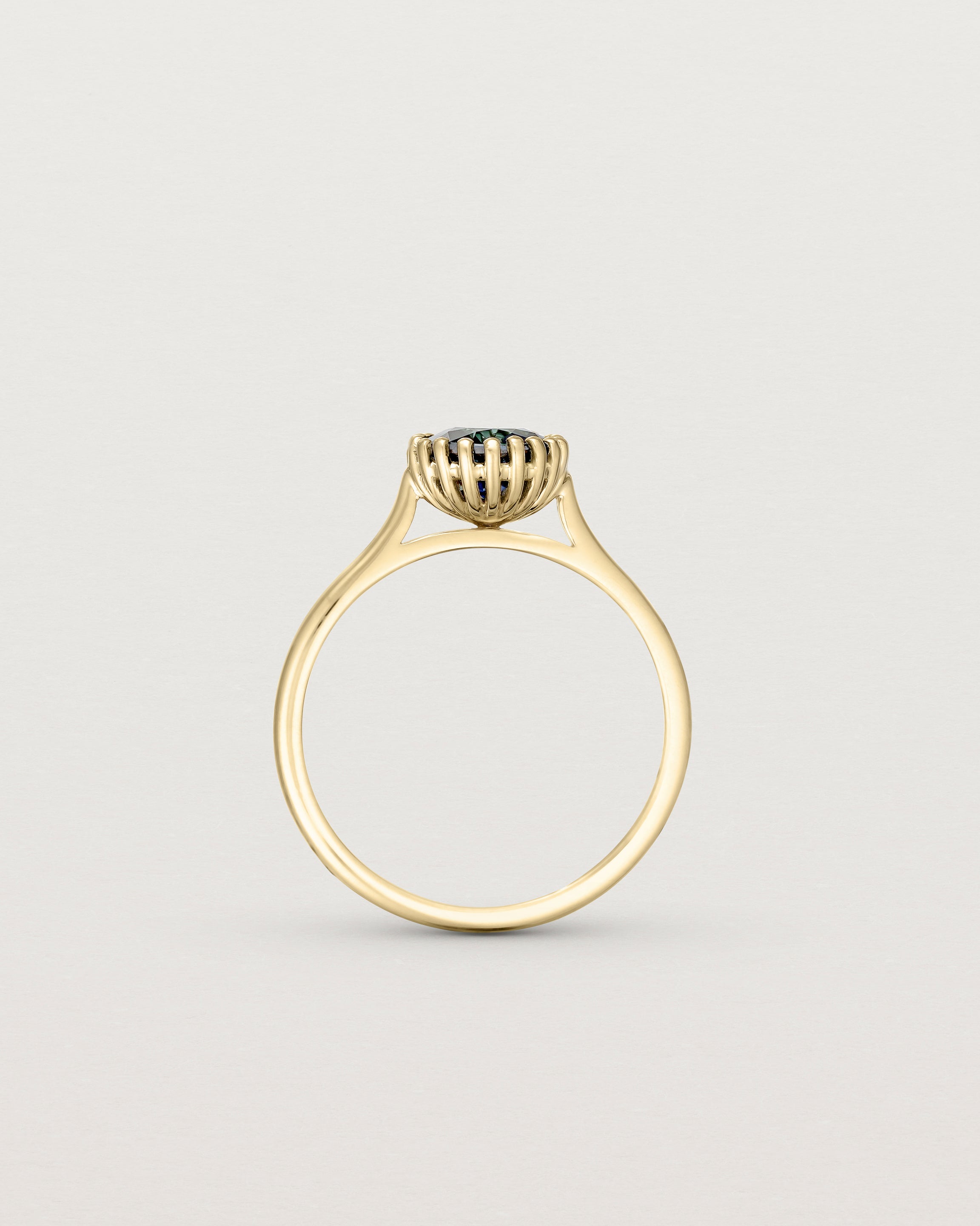 Standing view of the Meroë Round Solitaire | Australian Sapphire in yellow gold.