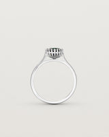 Standing view of the Meroë Round Solitaire | Australian Sapphire in white gold.
