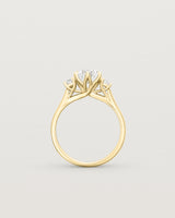 Eirene Trio | Round Laboratory Grown Diamond