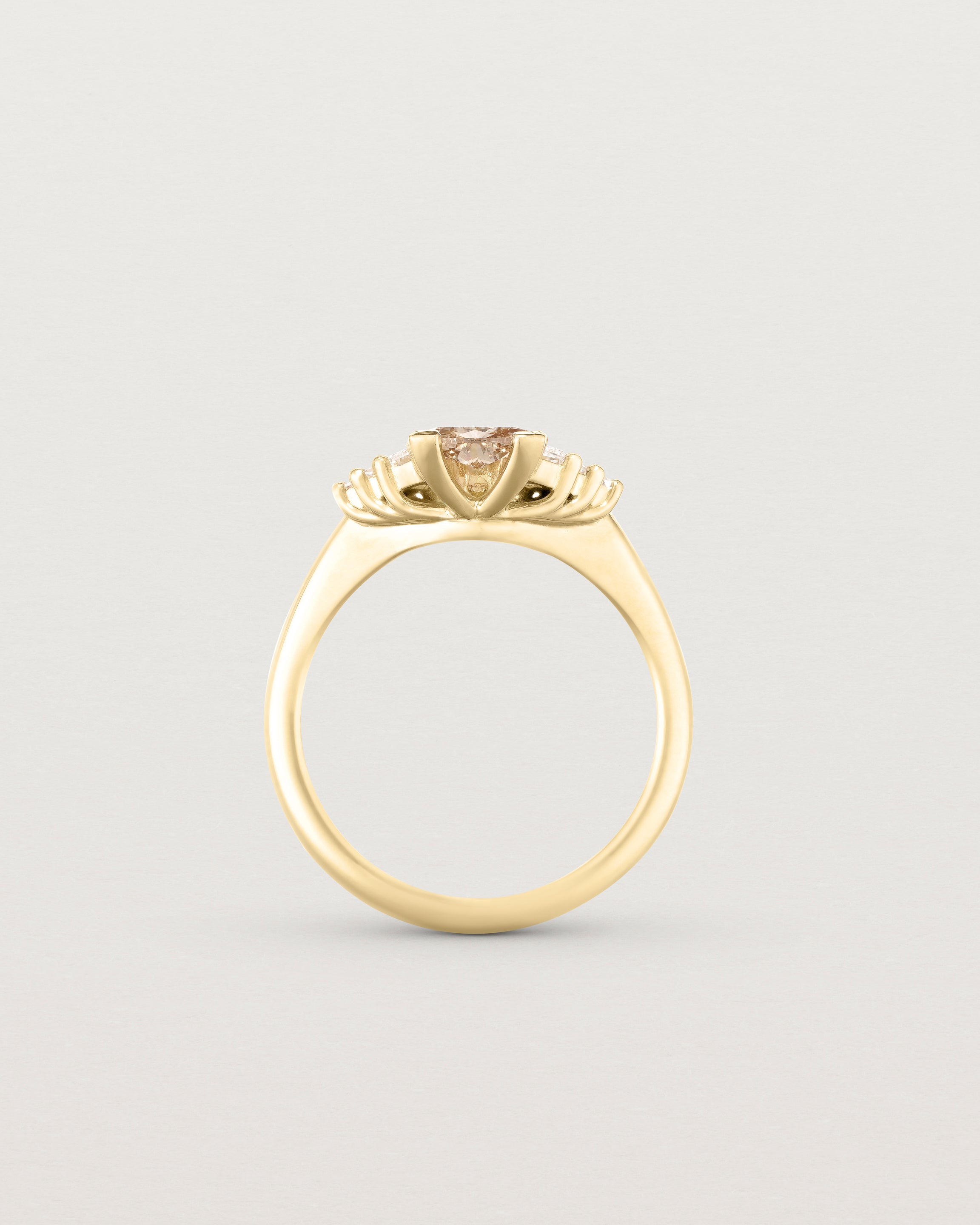 Lois Ring | Argyle Diamond