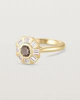 Eileen Halo Ring | Argyle Diamond