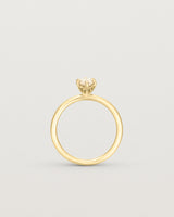 Standing image of diamond marquise ring in yellow gold