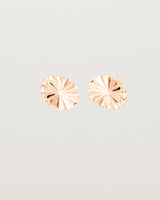 Front view of the Pan Earrings in rose gold.