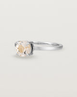 Angled view of the Petite Una Round Solitaire | Morganite | White Gold.