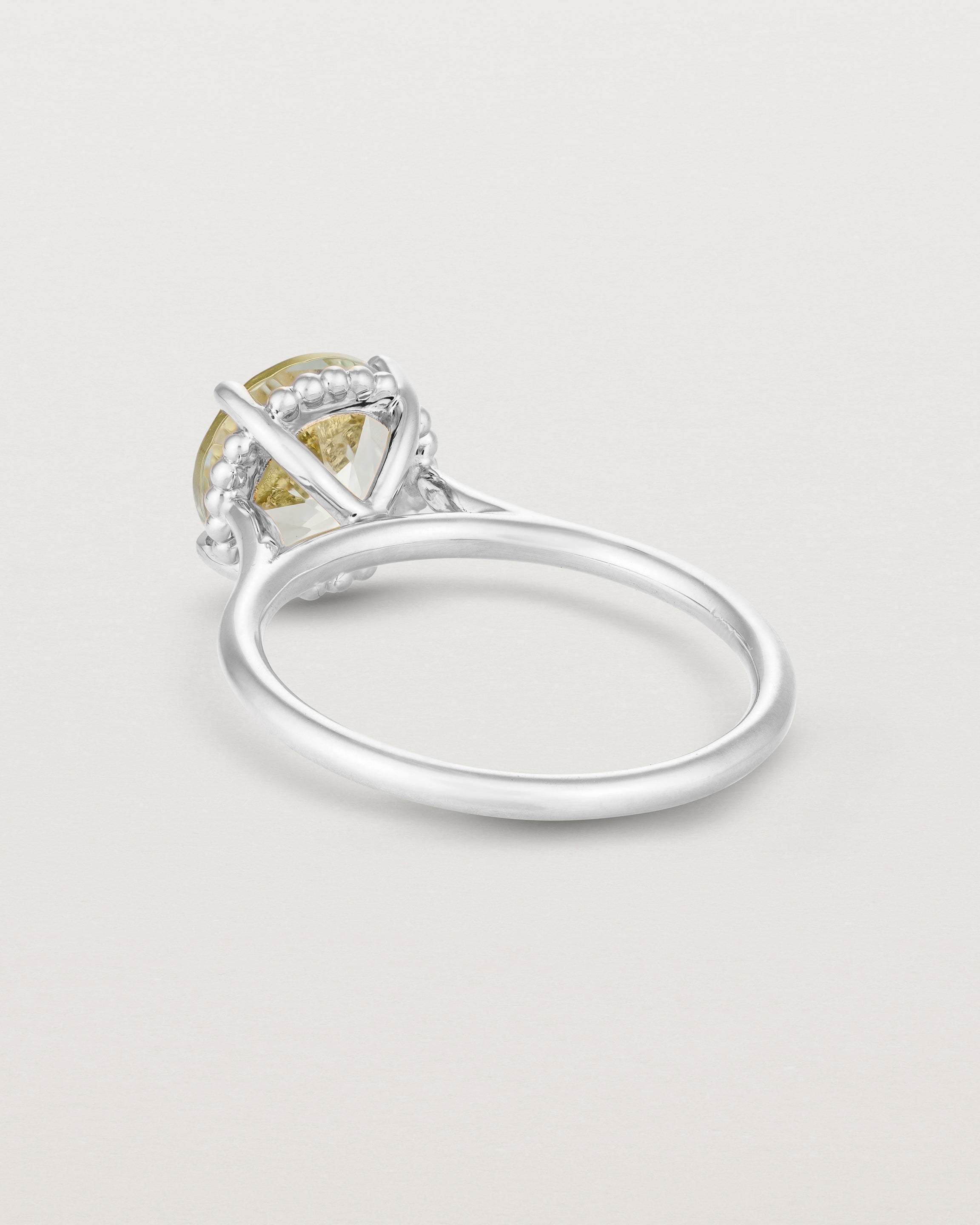 Back view of the Thea Round Solitaire | Green Amethyst in white gold.