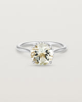 Front view of the Thea Round Solitaire | Green Amethyst in white gold.