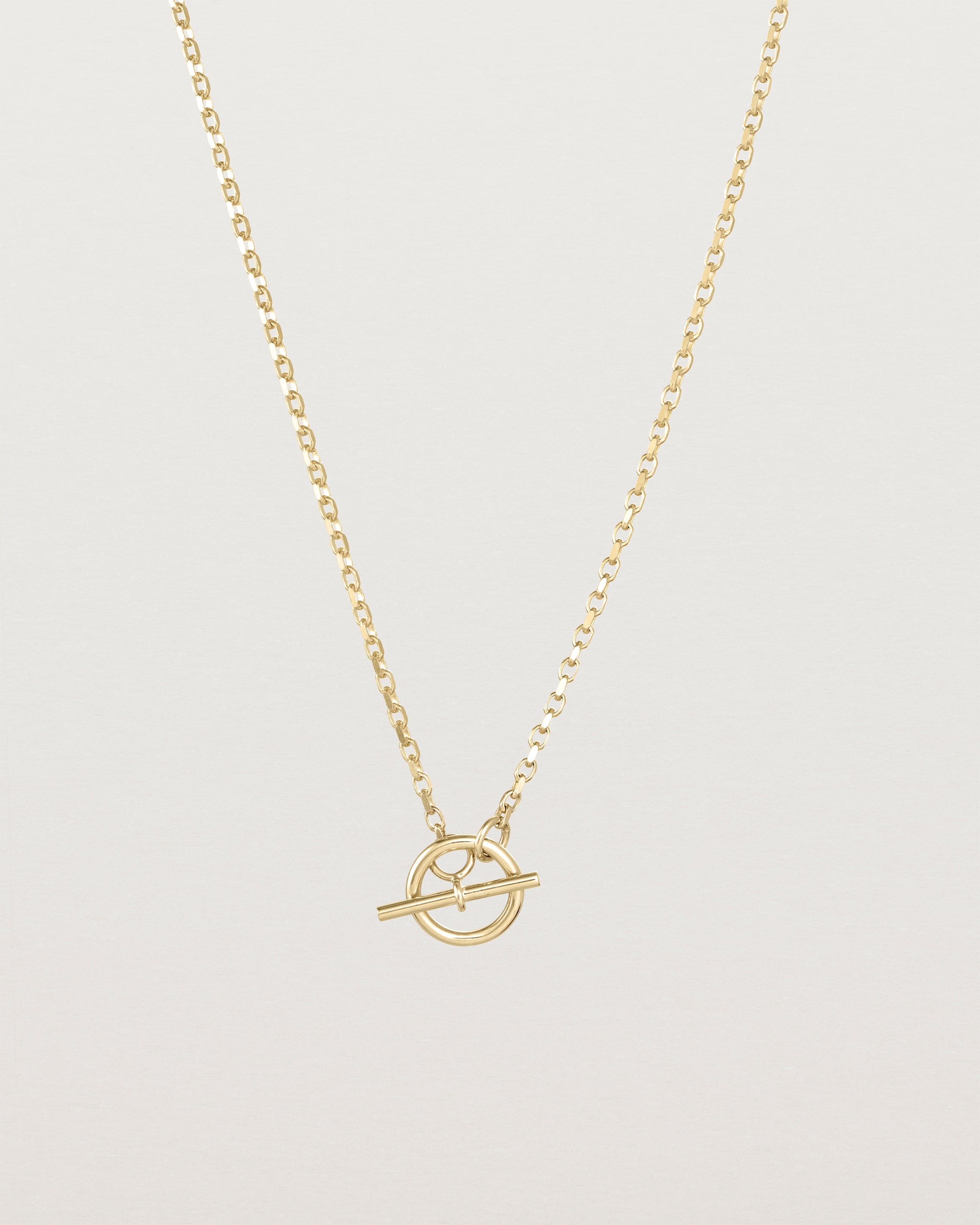 Front view of the Terra Chain Necklace | Bold in yellow gold.