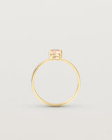 Standing view of the Tiny Fei Ring | Morganite in yellow gold.