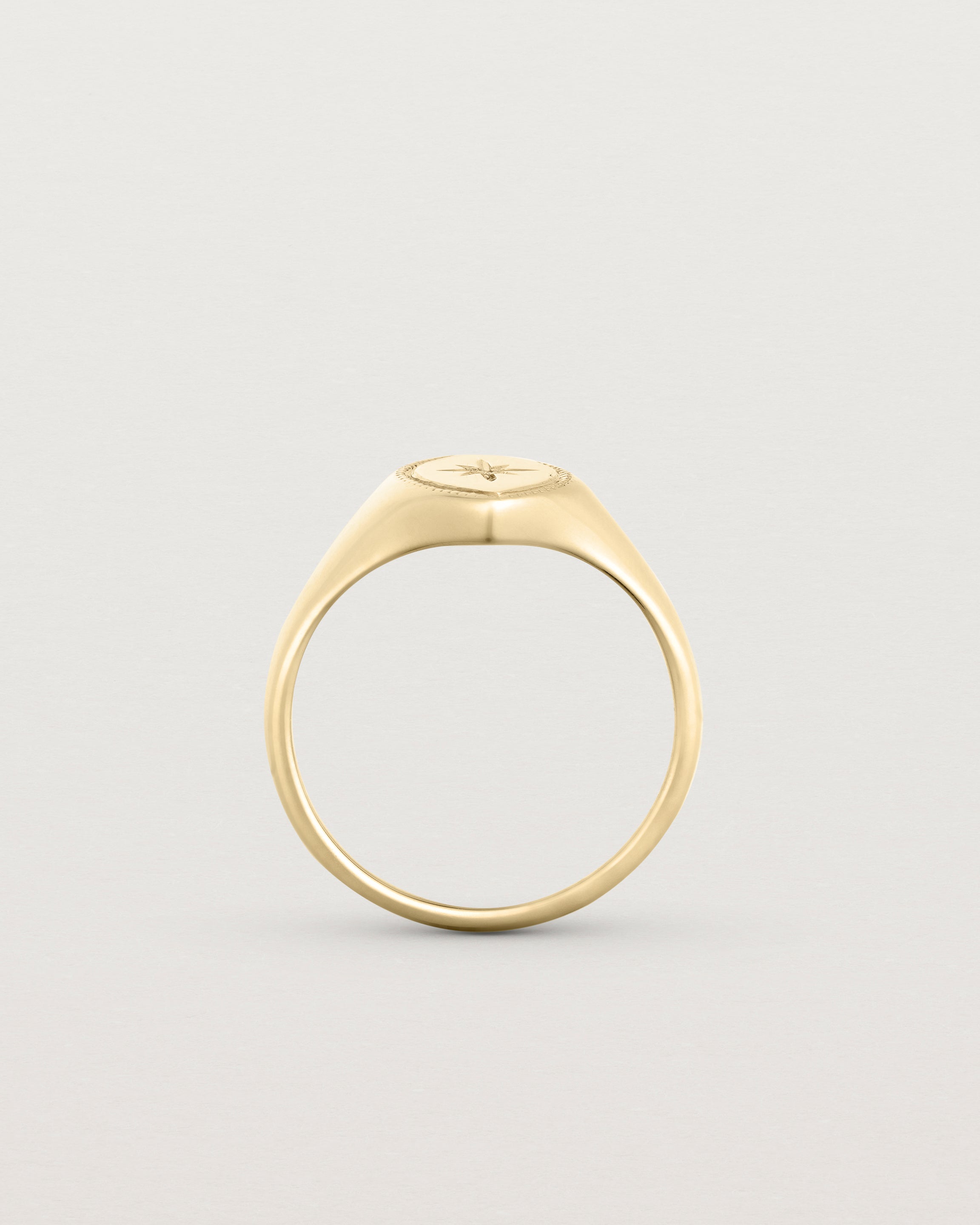Standing view of the Willow Millgrain Signet Ring | Birthstone in yellow gold.