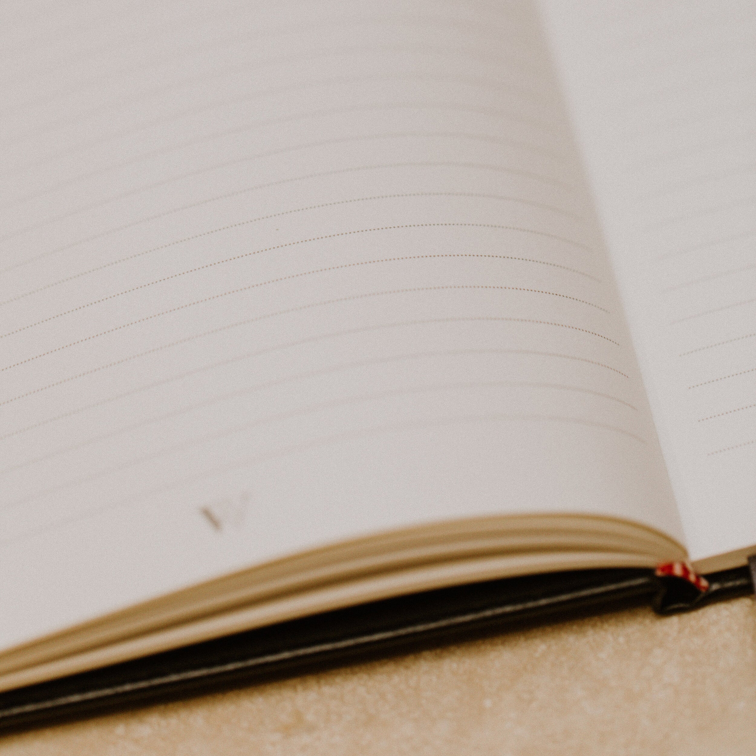 Bottom of a page in the leather Notebook by Wellnoted