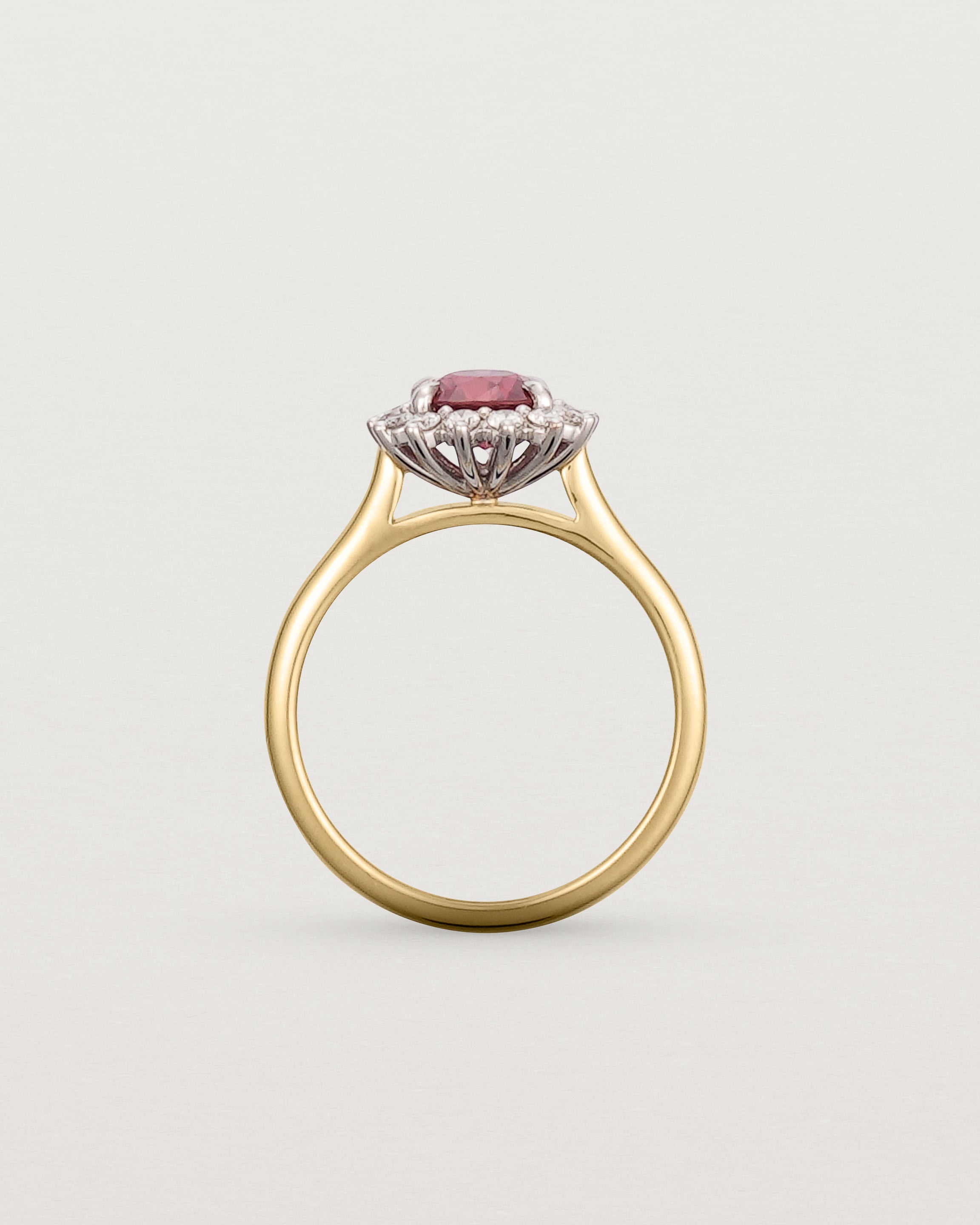 Standing view of the Amelia Daisy Halo | Ruby & Diamond | Yellow Gold.