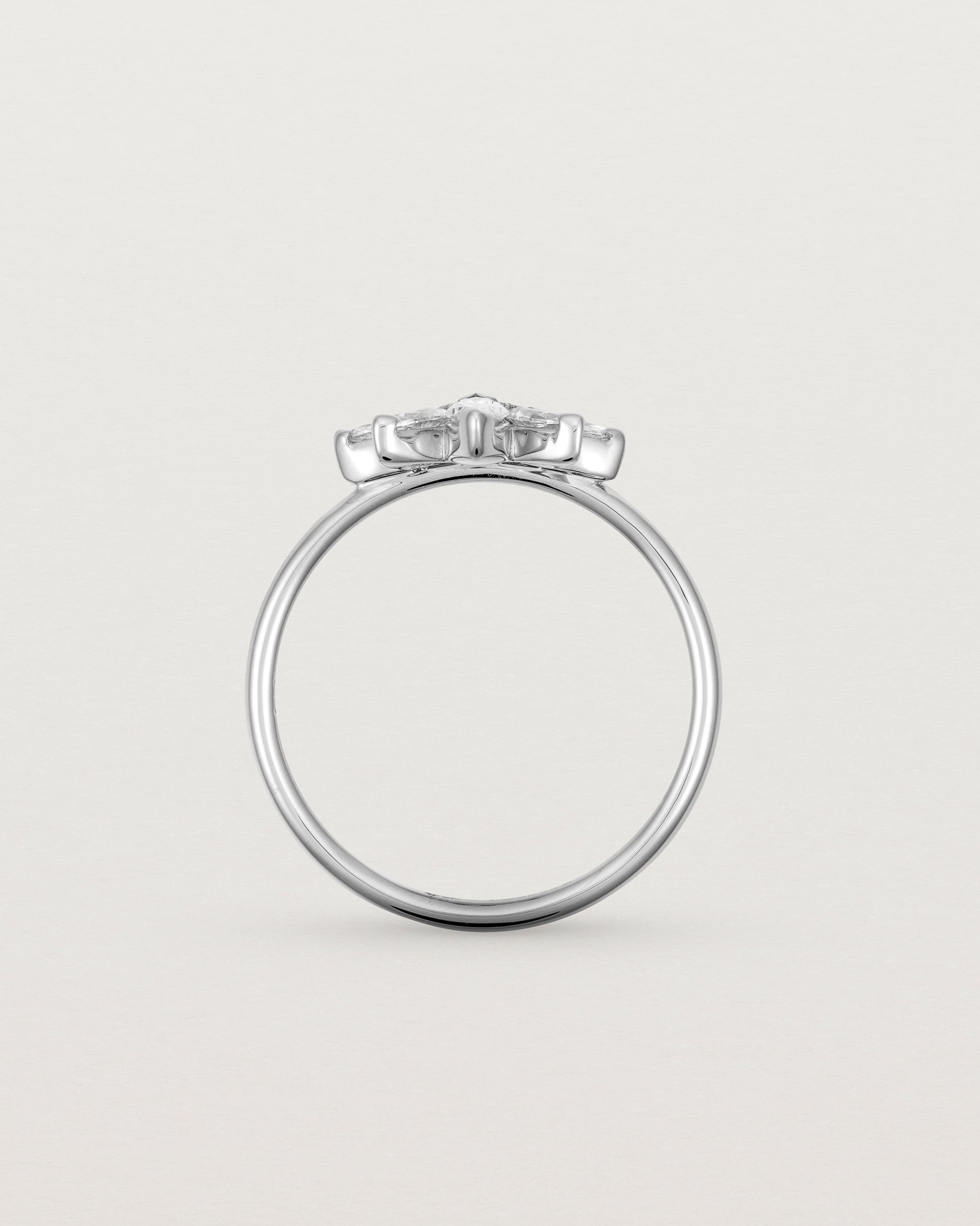 Standing view of the Sun Ring | Diamond in White Gold.
