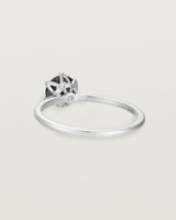 Angled view of the Mandala Solitaire Ring | Australian Sapphire & Diamonds | White Gold.