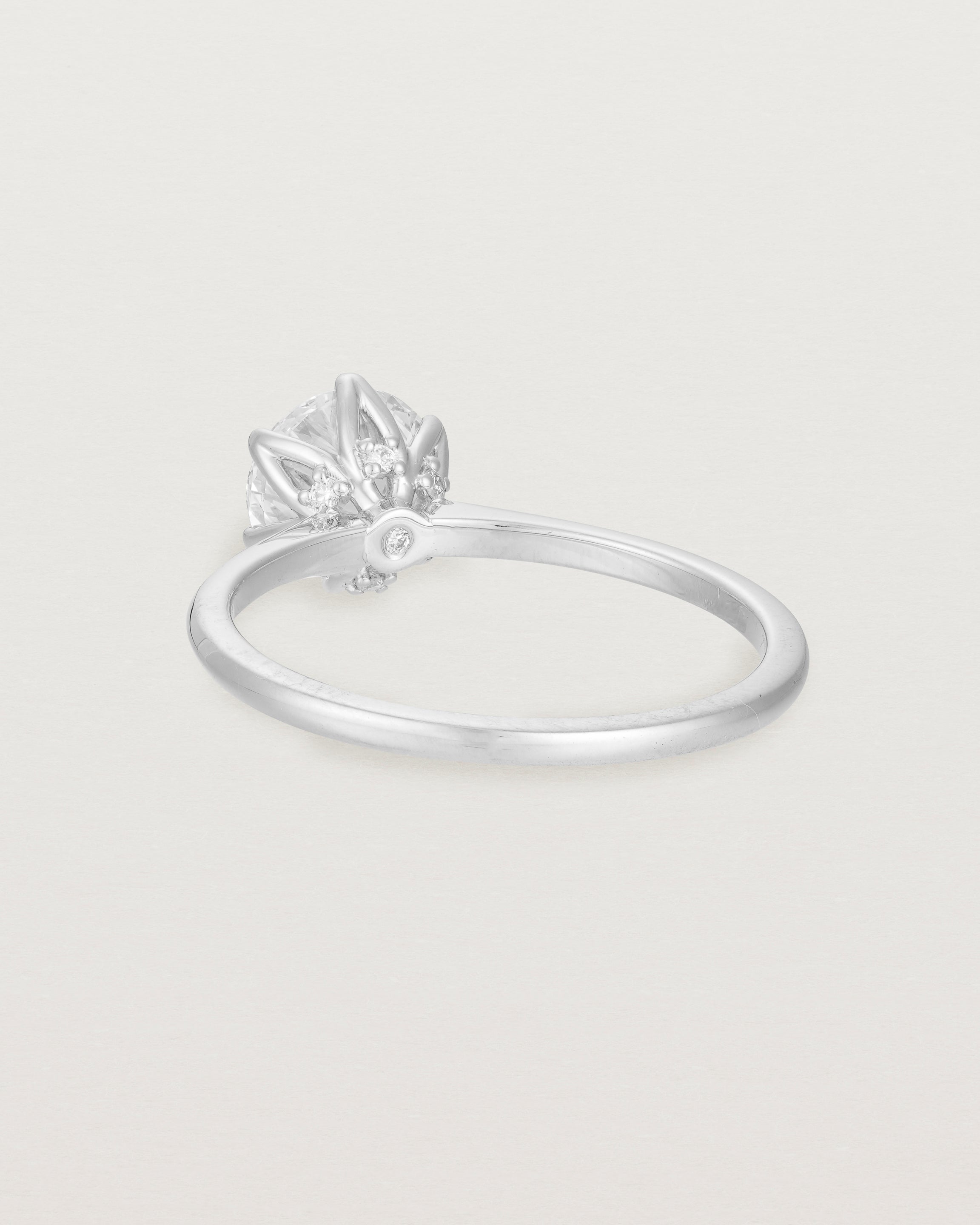 Back view of the  Solitaire Ring | Laboratory Grown Diamonds | White Gold