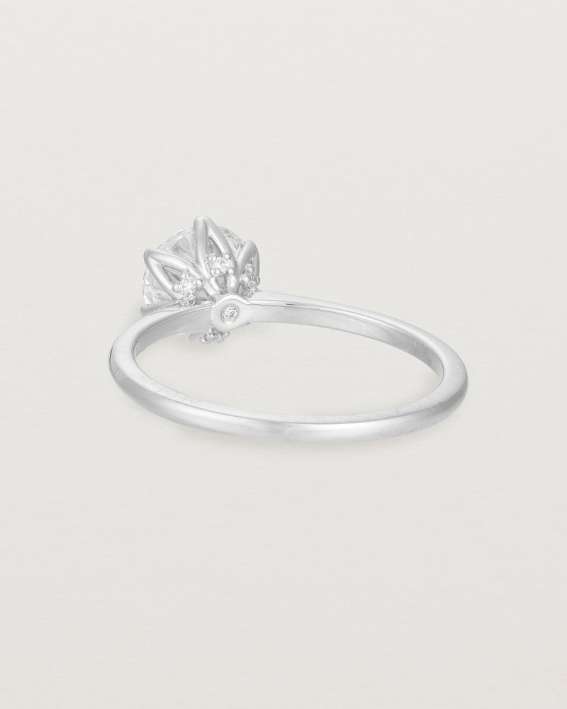 Back view of the  Solitaire Ring | Laboratory Grown Diamonds | White Gold