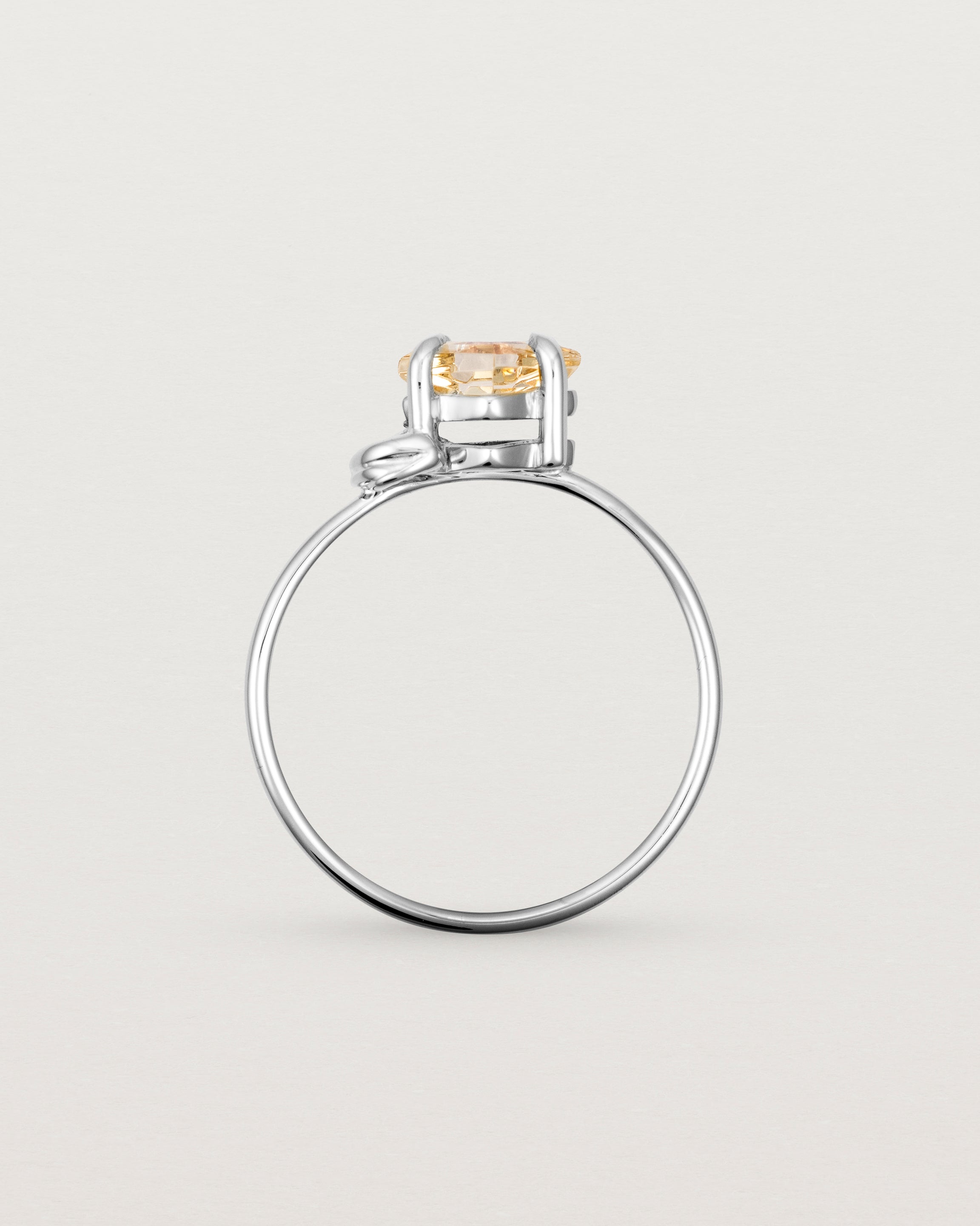 Standing view of the Nuna Ring | Savannah Sunstone in White Gold.