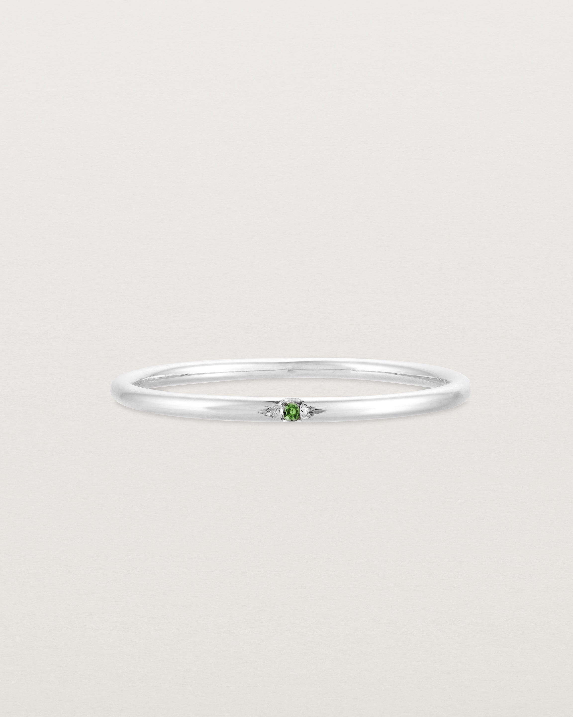 Front view of the Promise Ring | Birthstone in White Gold.